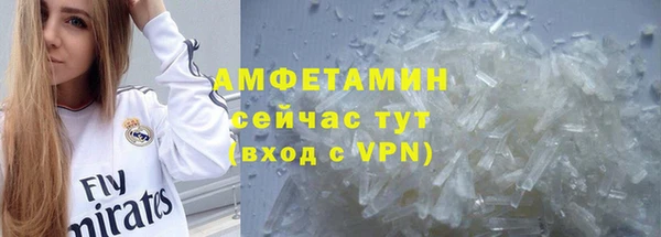 гидра Верея
