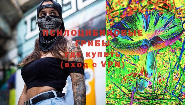 гидра Верея
