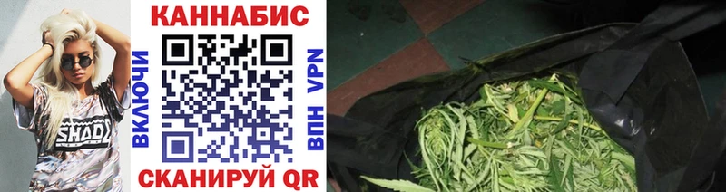 Купить где  Чухлома  Бошки марихуана White Widow 